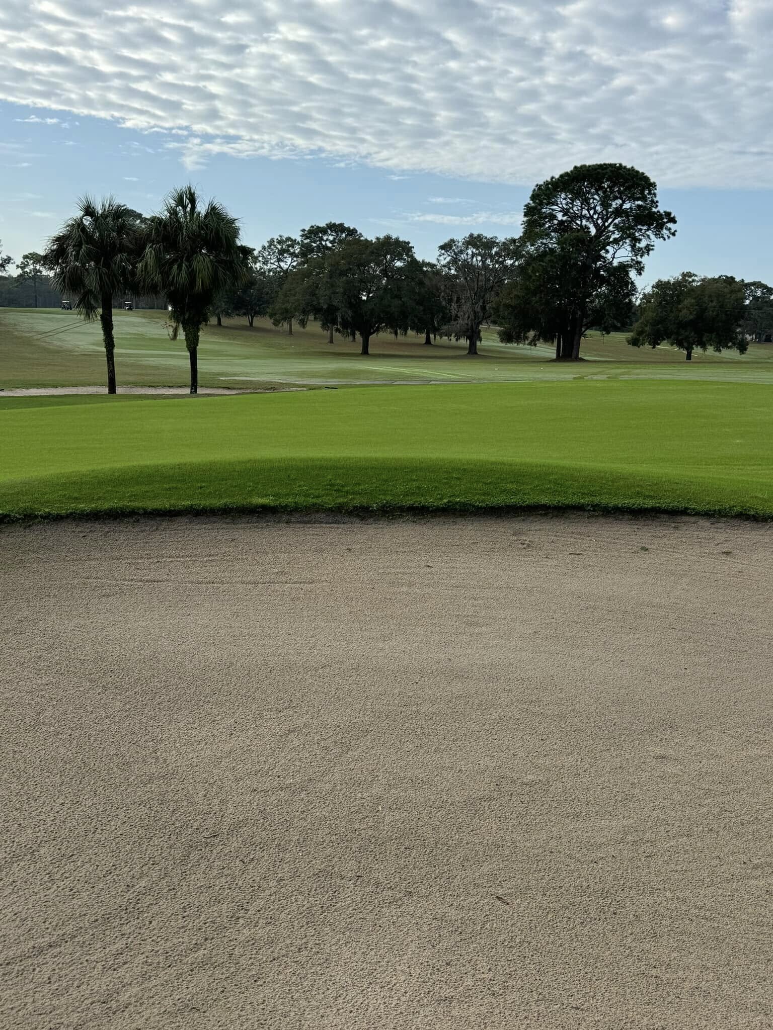 20650 SW 80th Place Rd, Dunnellon, FL à vendre Autre– Image 1 sur 5