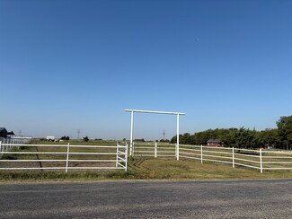 Plus de détails pour TBD 000 Palmyra Road, Palmer, TX - Terrain à vendre