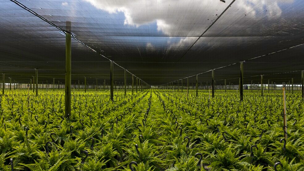 227th Ave, Homestead, FL à vendre - Autre – Image 2 sur 8