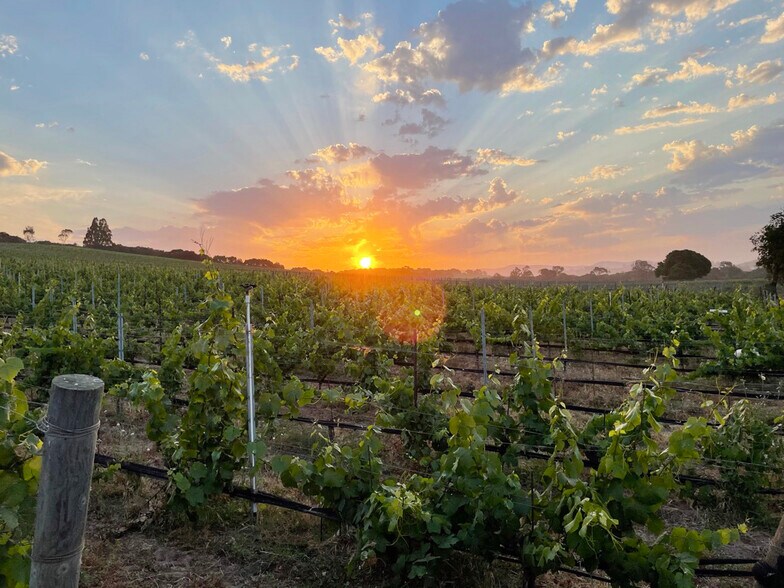 Biodynamic® Certified ±614 Acres portefeuille de 2 biens à vendre sur LoopNet.fr - Photo de l’immeuble – Image 2 sur 15