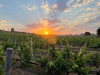 Plus de détails pour Biodynamic® Certified ±614 Acres – Terrain à vendre, Lompoc, CA