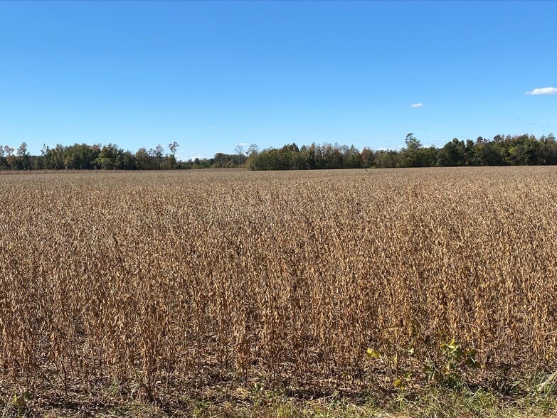 0 Griffin, South Prince George, VA à vendre - Photo principale – Image 1 sur 4