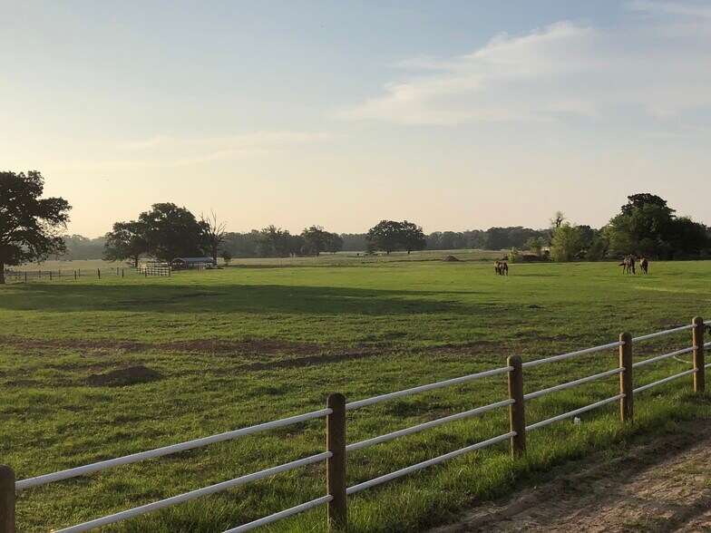 4250 TX-154, Yantis, TX à vendre - Photo de l’immeuble – Image 3 sur 18