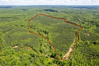 Plus de détails pour 0 Green Creek Road, Schuyler, VA - Terrain à vendre