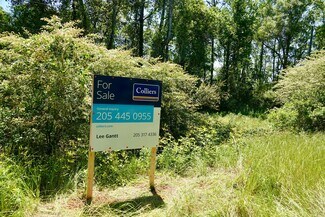 Plus de détails pour Merritt Rd, Malvern, AL - Terrain à vendre