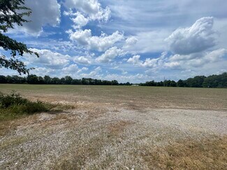 Plus de détails pour tbd Old Bainbridge Road Rd, Marion, IL - Terrain à vendre