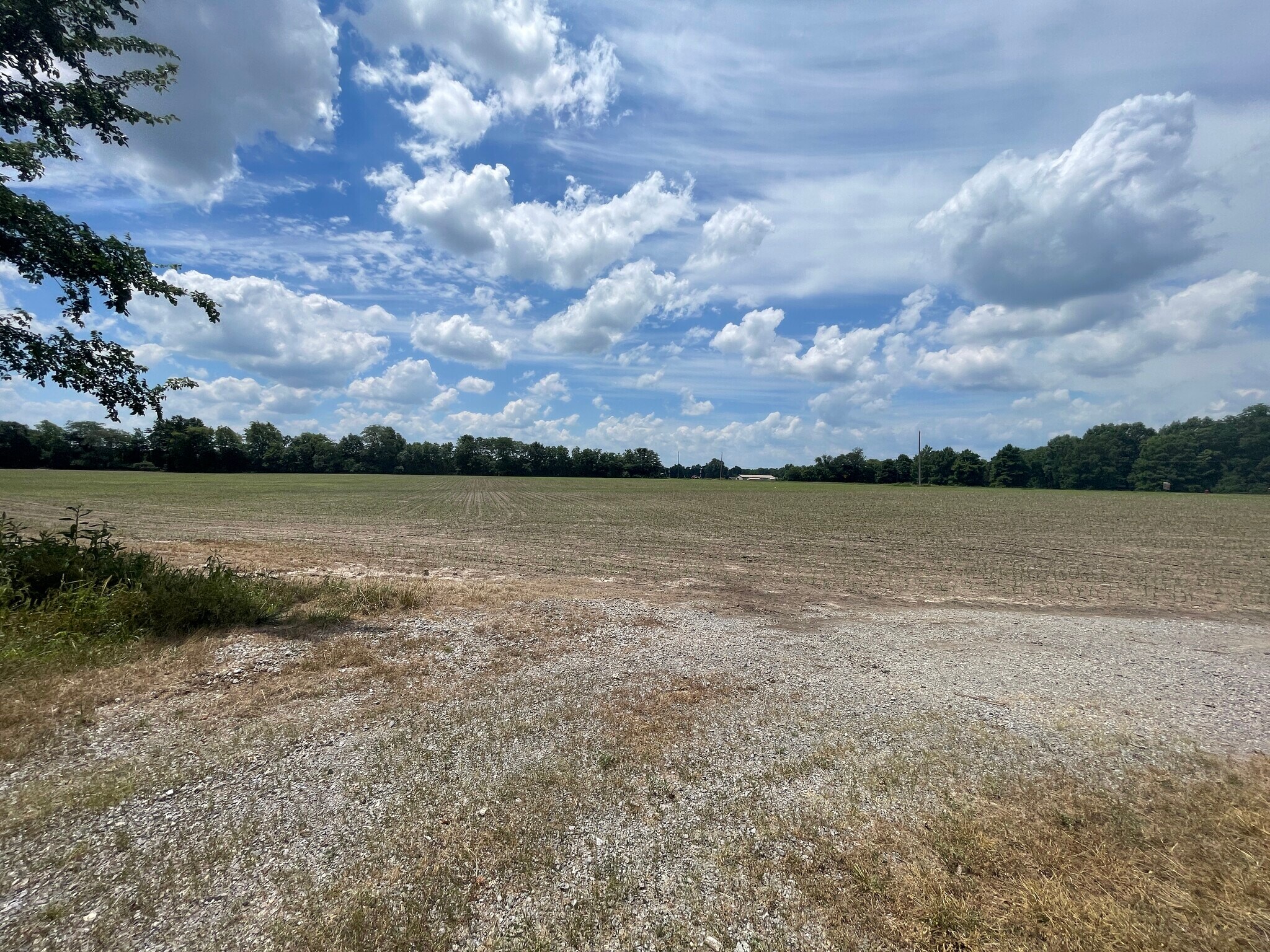 tbd Old Bainbridge Road Rd, Marion, IL à vendre Photo principale– Image 1 sur 4