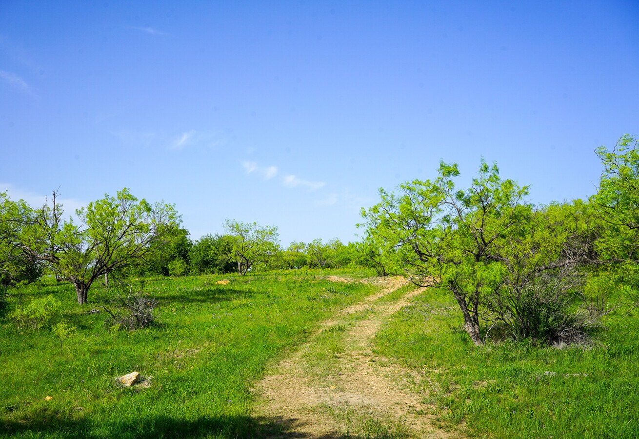 View Photo