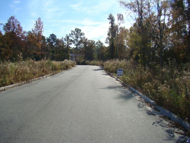 View Photo