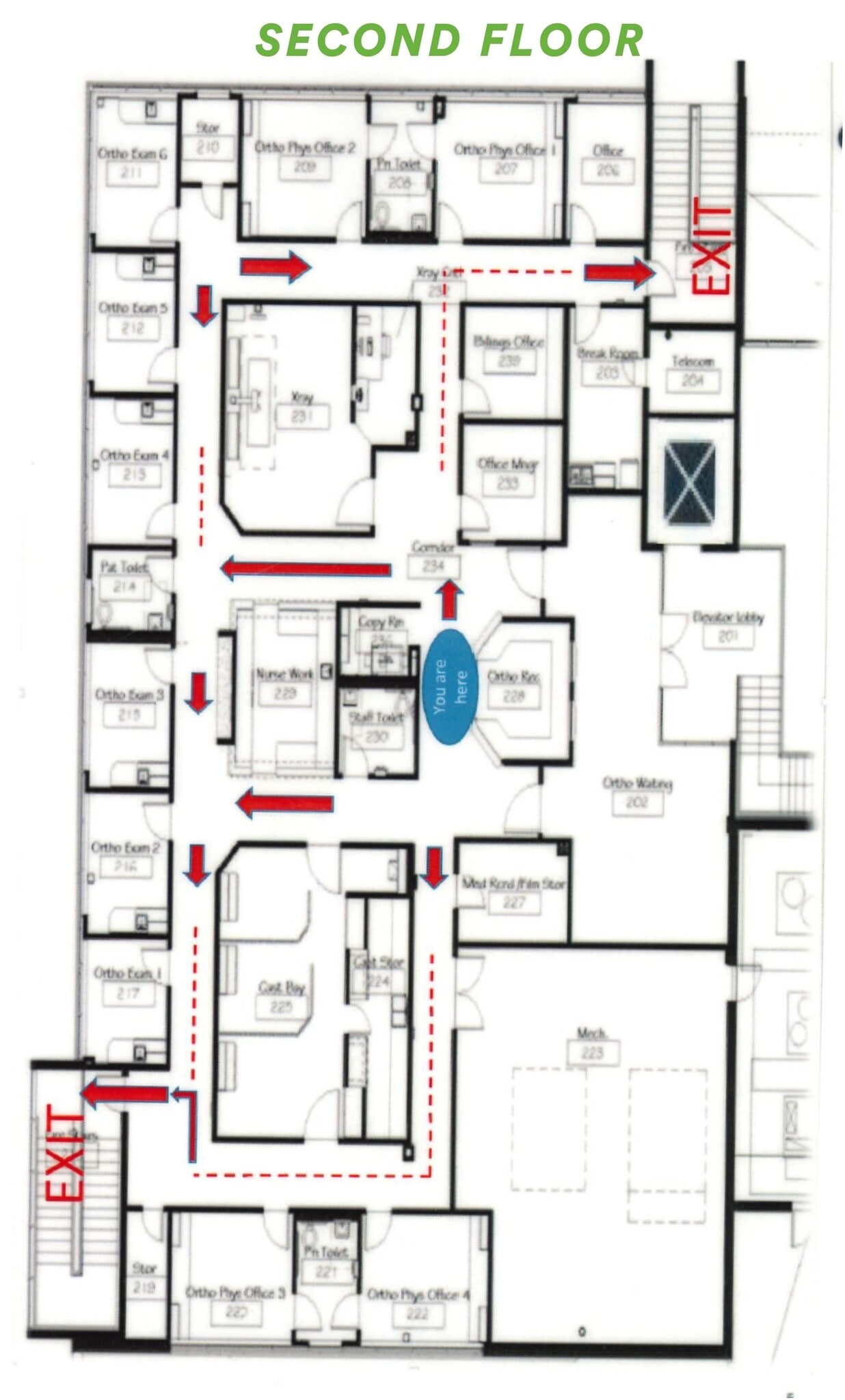 3526 Longmire Dr, College Station, TX à louer Plan d’étage– Image 1 sur 1