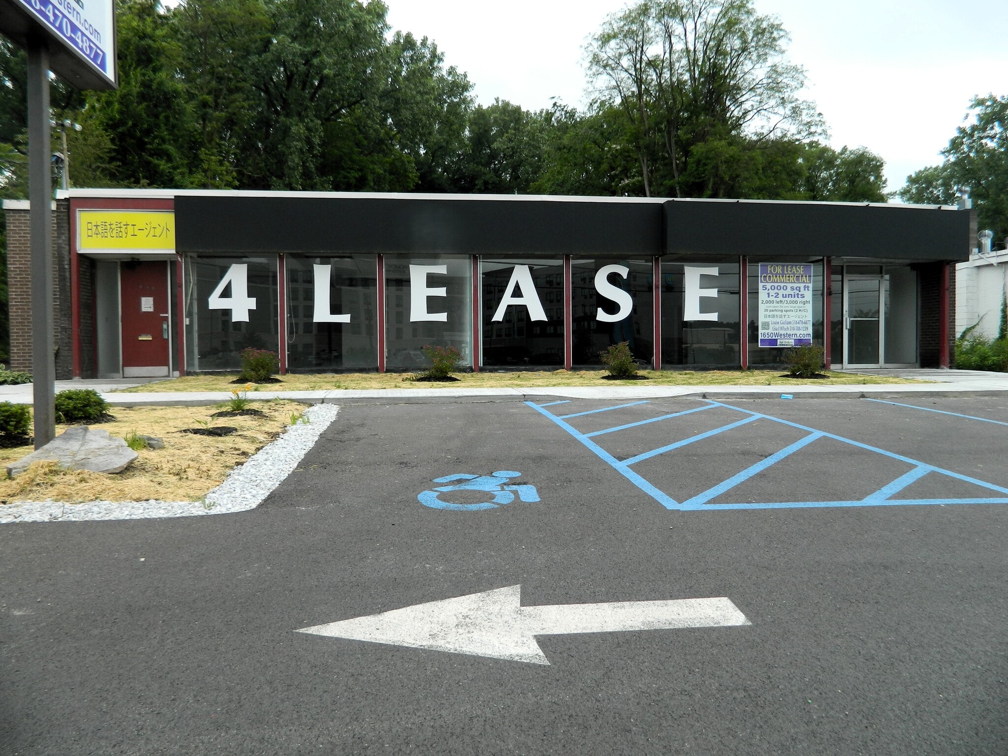 1648 Western Ave, Albany, NY à louer Photo principale– Image 1 sur 5