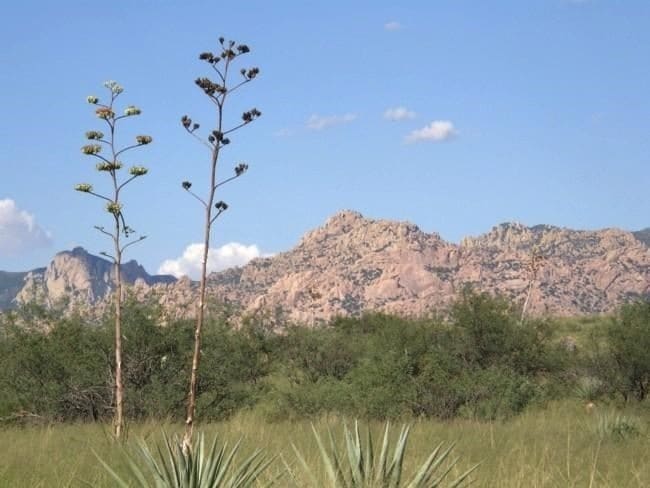 E Cochise Trl, Saint David, AZ à vendre Autre– Image 1 sur 5