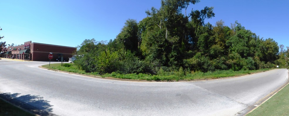 193 Ashton Park Dr, Millbrook, AL à vendre - Photo de l’immeuble – Image 2 sur 2