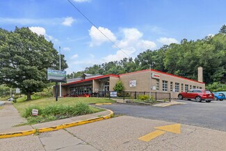 Plus de détails pour 520 E Bruceton Rd, Pittsburgh, PA - Local commercial à vendre