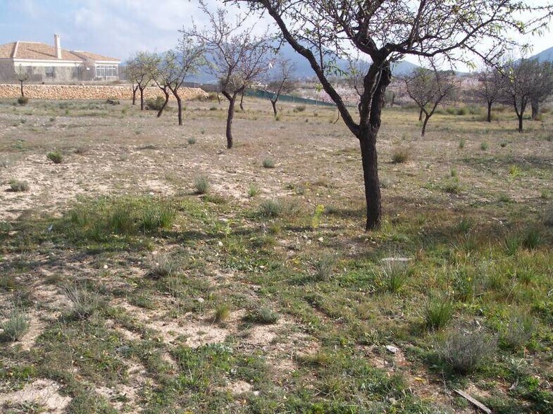 Terrain dans Hondón de los Frailes, Alicante à vendre - Photo de l’immeuble – Image 1 sur 1
