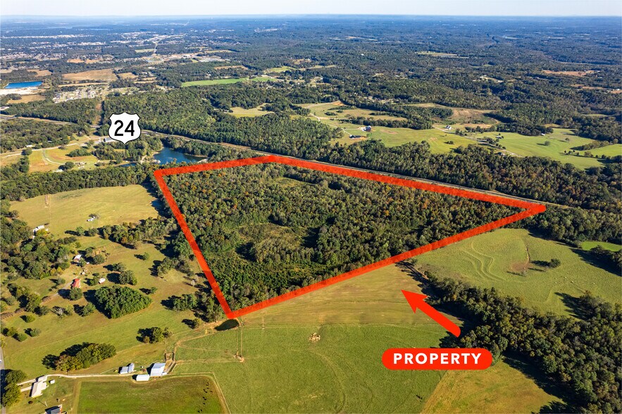 highway 24, Trinity, AL à vendre - Photo de l’immeuble – Image 3 sur 13