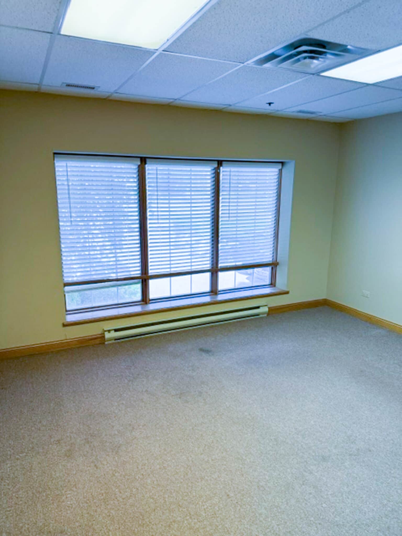 1121 E Main St, St Charles, IL à louer Photo intérieure– Image 1 sur 7