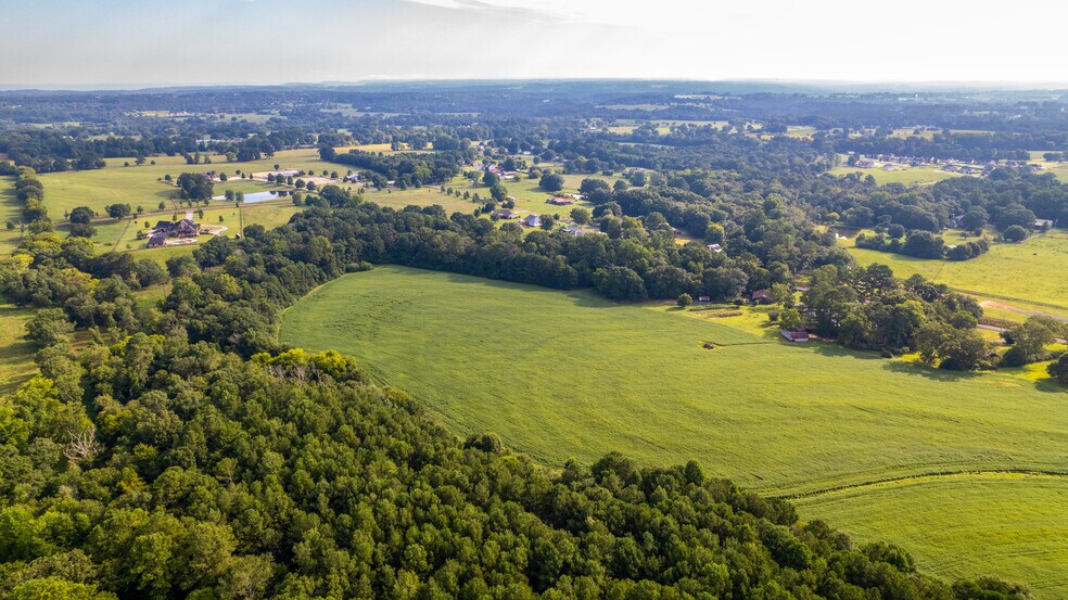 1585 Railroad Ave, Albertville, AL à vendre - Photo de l’immeuble – Image 2 sur 10