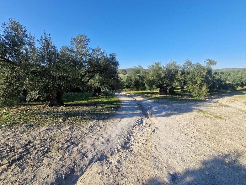 Polígono Ua-10, Parcela 164, Montilla, Córdoba à vendre - Photo de l’immeuble – Image 3 sur 15