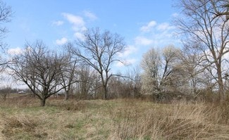Plus de détails pour 310 Raleigh Extended St, Martinsburg, WV - Terrain à vendre