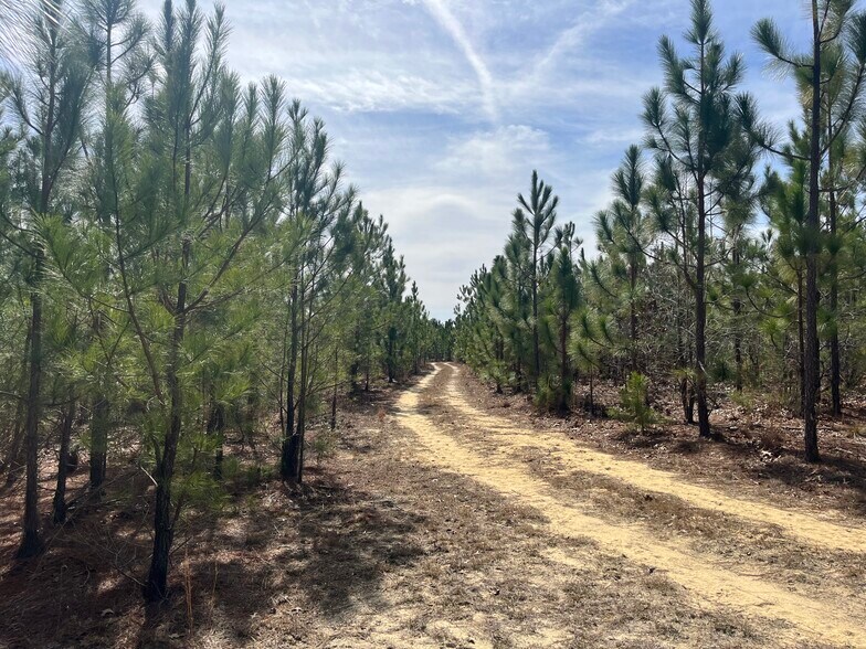 TBD US 15-501 Hwy, Pinehurst, NC à vendre - Photo de l’immeuble – Image 2 sur 5