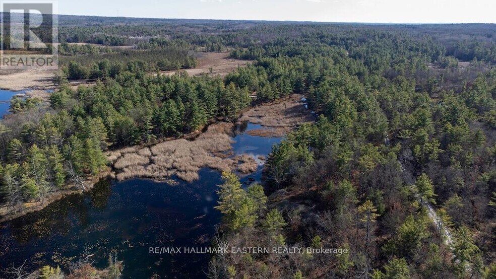 12 Fire Route 79B, Trent Lakes, ON à vendre - Photo de l’immeuble – Image 3 sur 7