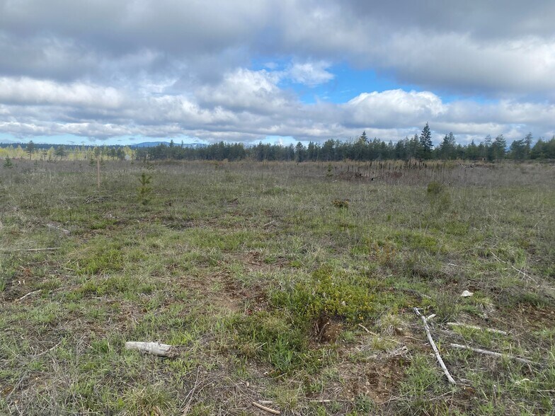NNA Roberts Rd, Athol, ID à vendre - Photo de l’immeuble – Image 2 sur 3