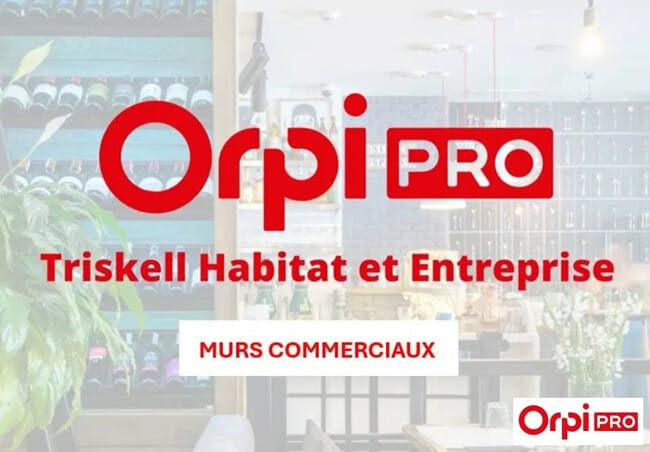 Plus de détails pour Local d’activités à vendre