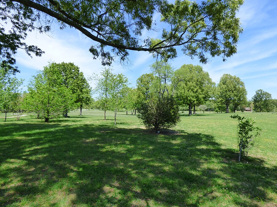 View Photo