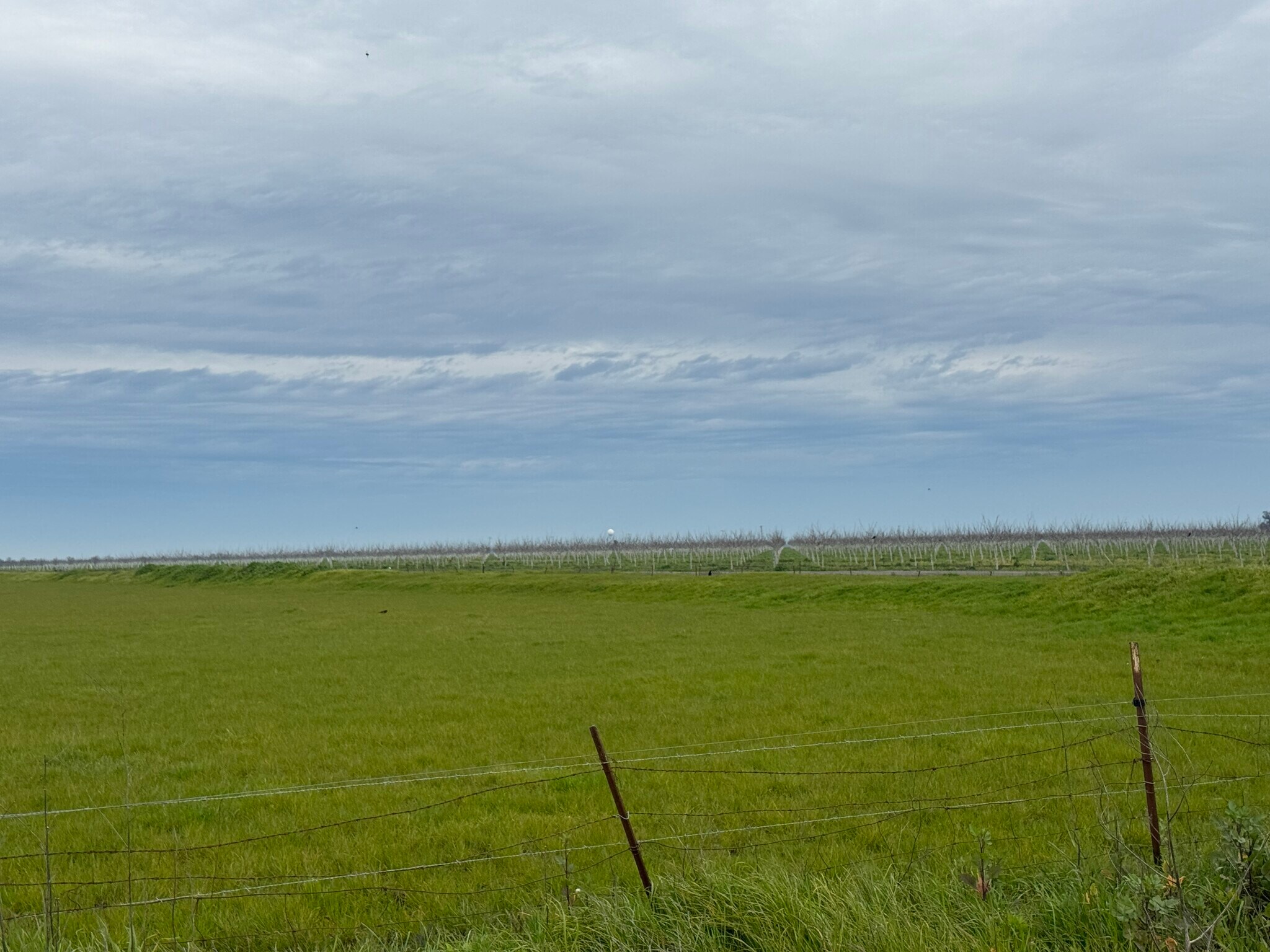 Hyde Rd, Dixon, CA à vendre Photo principale– Image 1 sur 18
