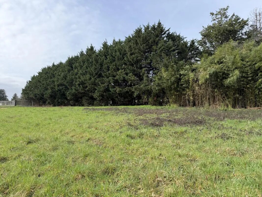 Terrain dans LUGON-ET-L'ILE-DU-CARNAY à vendre Plan de site– Image 1 sur 3