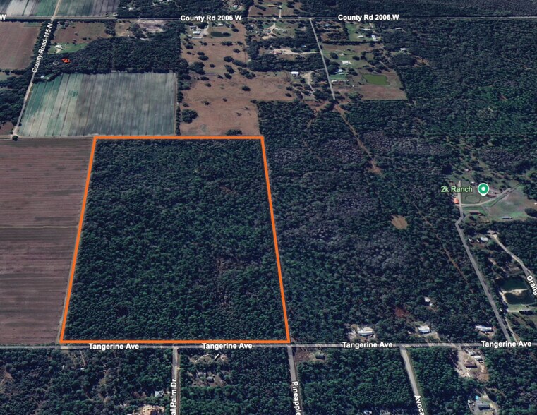 0 Tangerine Avenue, Bunnell, FL à vendre - Photo de l’immeuble – Image 2 sur 3