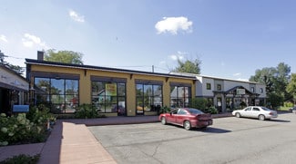 Plus de détails pour 208 S Elm St, Three Oaks, MI - Local commercial à vendre