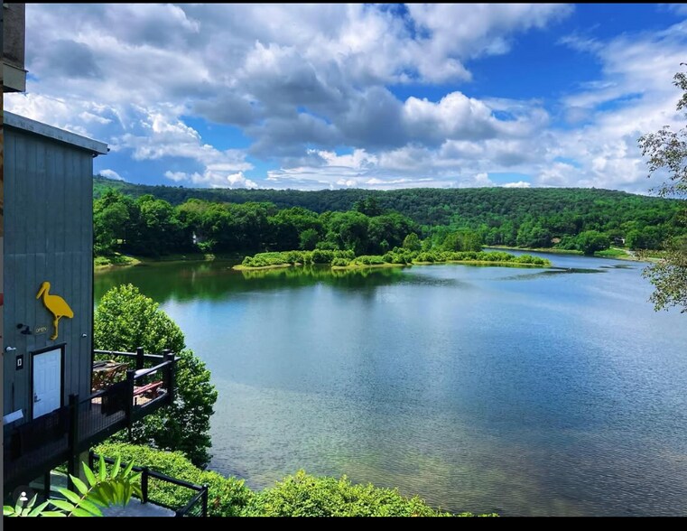 90 Main st, Narrowsburg, NY à vendre - Photo de l’immeuble – Image 2 sur 15