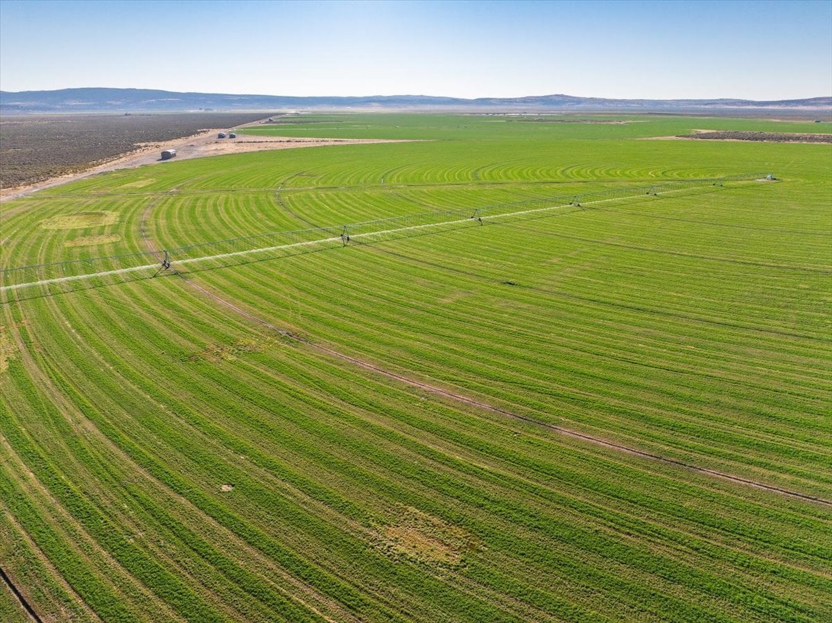 650 Tuledad Rd, Ravendale, CA à vendre Photo principale– Image 1 sur 36