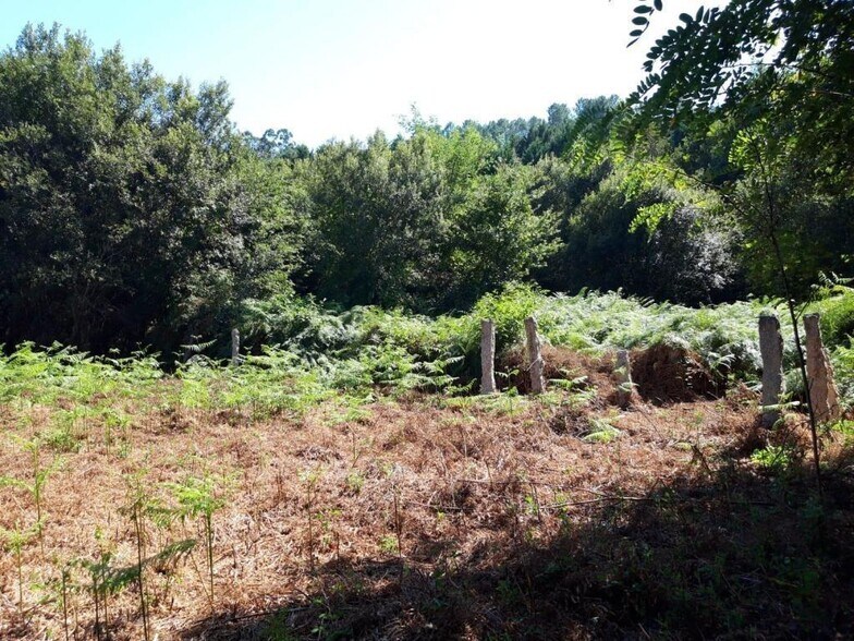 Polígono Das Gándaras, 8, O Porriño, Pontevedra à vendre - Plan de site – Image 2 sur 4