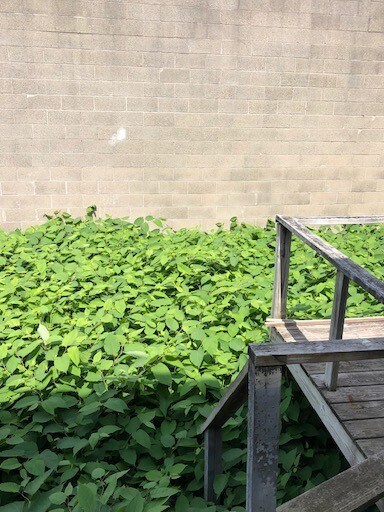 1755-1755A Victory Blvd, Staten Island, NY à louer - Photo de l’immeuble – Image 2 sur 4