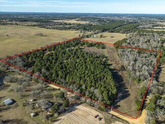 Plus de détails pour NW Corner CR 1890 & CR 1895, Grapeland, TX - Terrain à vendre