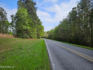 Plus de détails pour 0 Hwy 43, Silver Creek, MS - Terrain à vendre