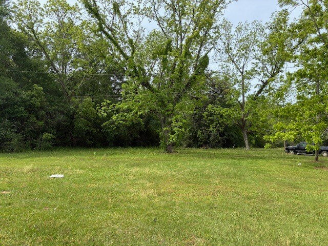 10030 Grand Bay Wilmer Rd S, Grand Bay, AL à vendre - Autre – Image 3 sur 8