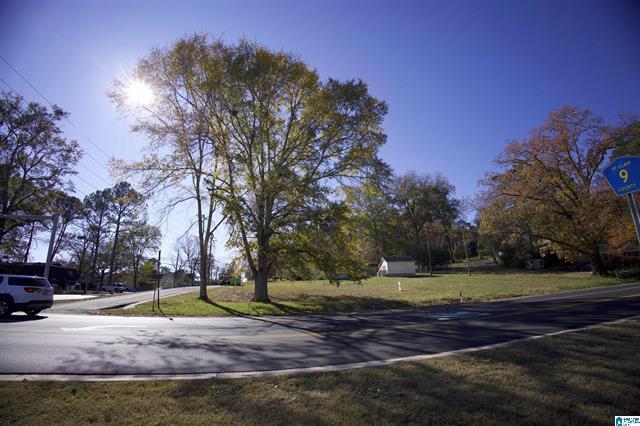 6099 US 11 Hwy, Springville, AL à vendre - Photo de l’immeuble – Image 3 sur 8