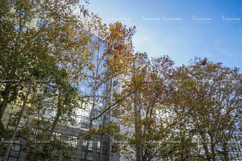 259-261 Rue De Paris, Montreuil à louer - Photo de l’immeuble – Image 1 sur 6