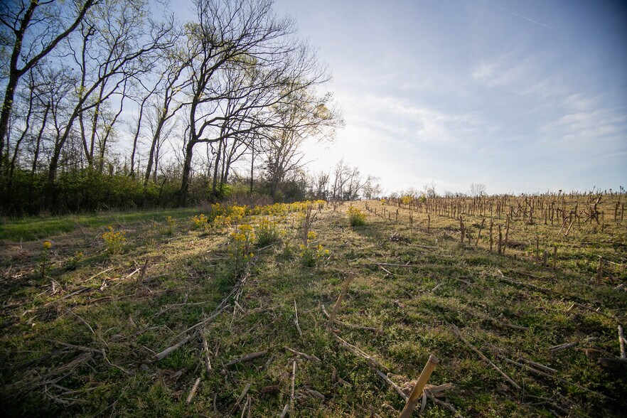 2175 Dobbins Pike, Portland, TN à vendre - Photo de l’immeuble – Image 3 sur 14