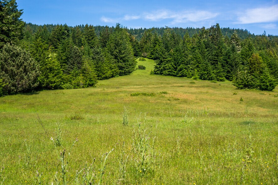 16401 South Highway 1, Manchester, CA à vendre - Photo de l’immeuble – Image 2 sur 52