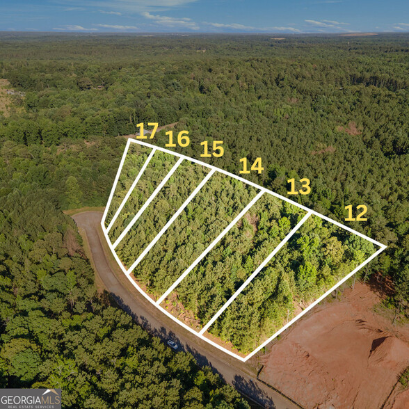 1022 Queens Bridge Way, Griffin, GA à vendre - Aérien – Image 3 sur 14