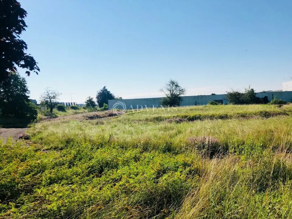 Local d’activités dans Brumath à louer Plan de site– Image 1 sur 3