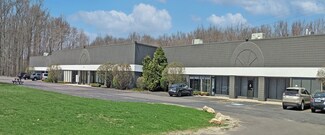Plus de détails pour 9177 Dutton Dr, Twinsburg, OH - Local d'activités à louer