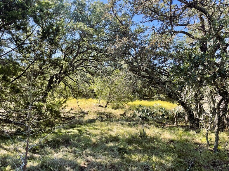 1276 Farm to Market Road 574, Mullin, TX à vendre - Photo de l’immeuble – Image 2 sur 50