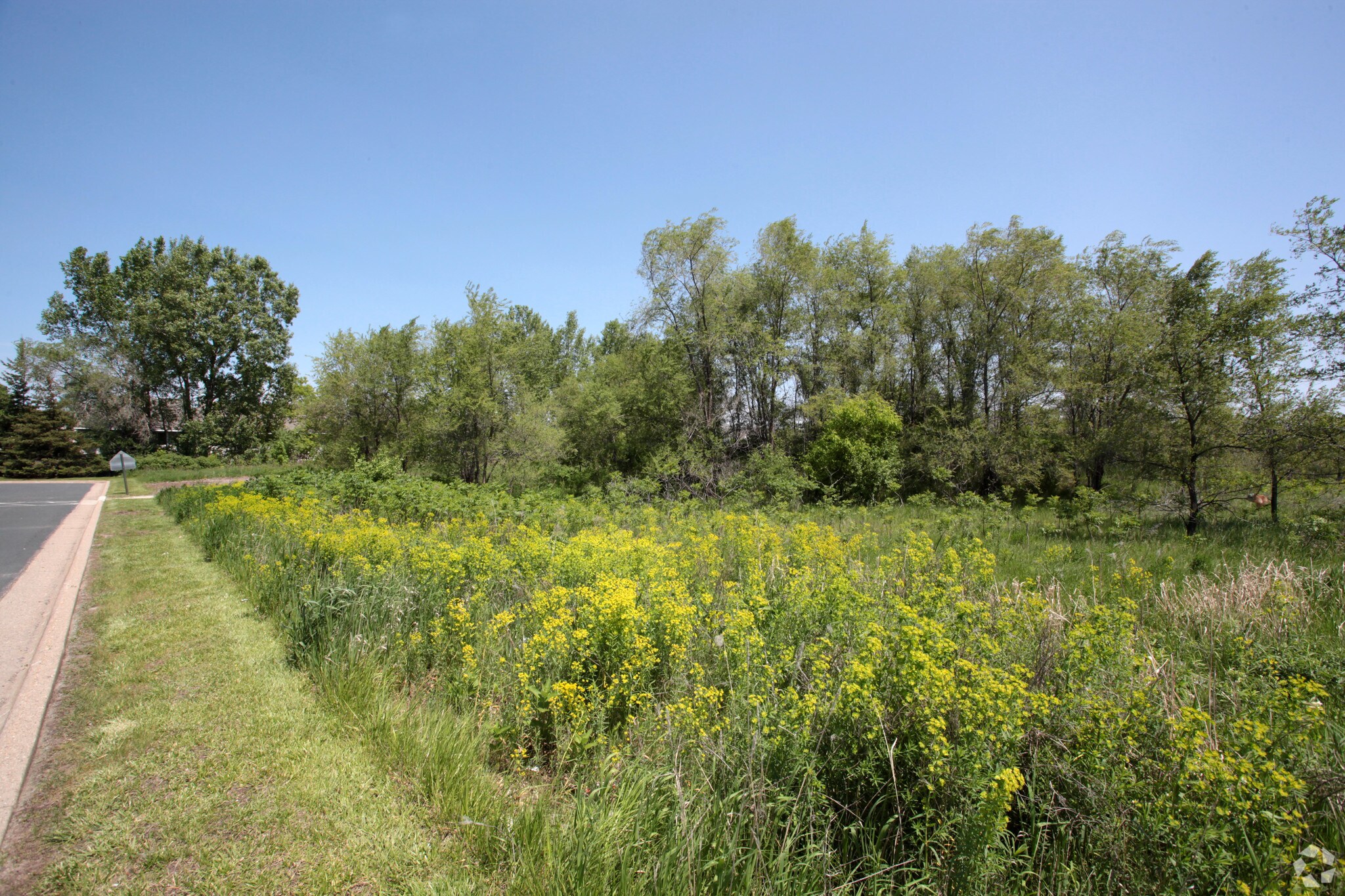 Diffley Rd, Eagan, MN à vendre Photo principale– Image 1 sur 5