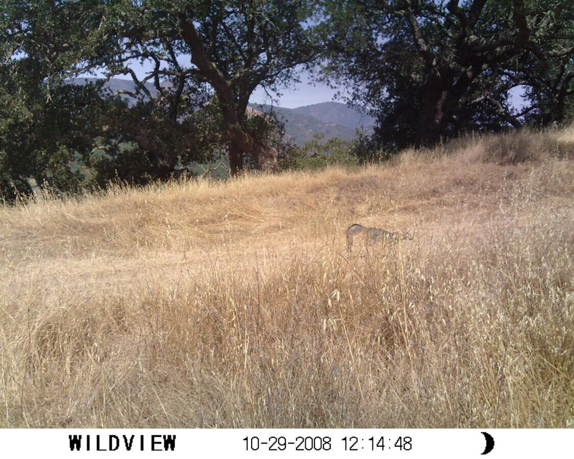 View Photo
